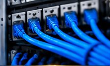 Ethernet cables punched down on a patch panel